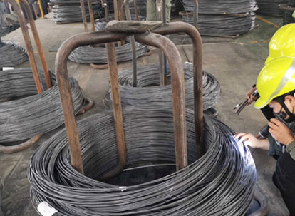 Phát hiện ngoại hang-hiện trường