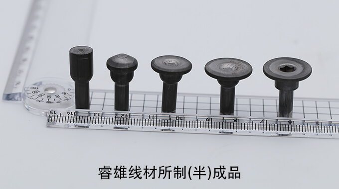 X10CrNi18-8 Dây thép dùng cho dập nguội